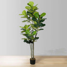 NORA Artificial Fiddle Leaf Potted Plant (Multiple Sizes) ArtiPlanto