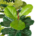 NORA Artificial Fiddle Leaf Potted Plant (Multiple Sizes) ArtiPlanto
