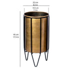 Neva - Brass Planter With Black Stand ArtiPlanto