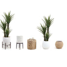 OCA Artificial Agave Potted Plant 63'' ArtiPlanto