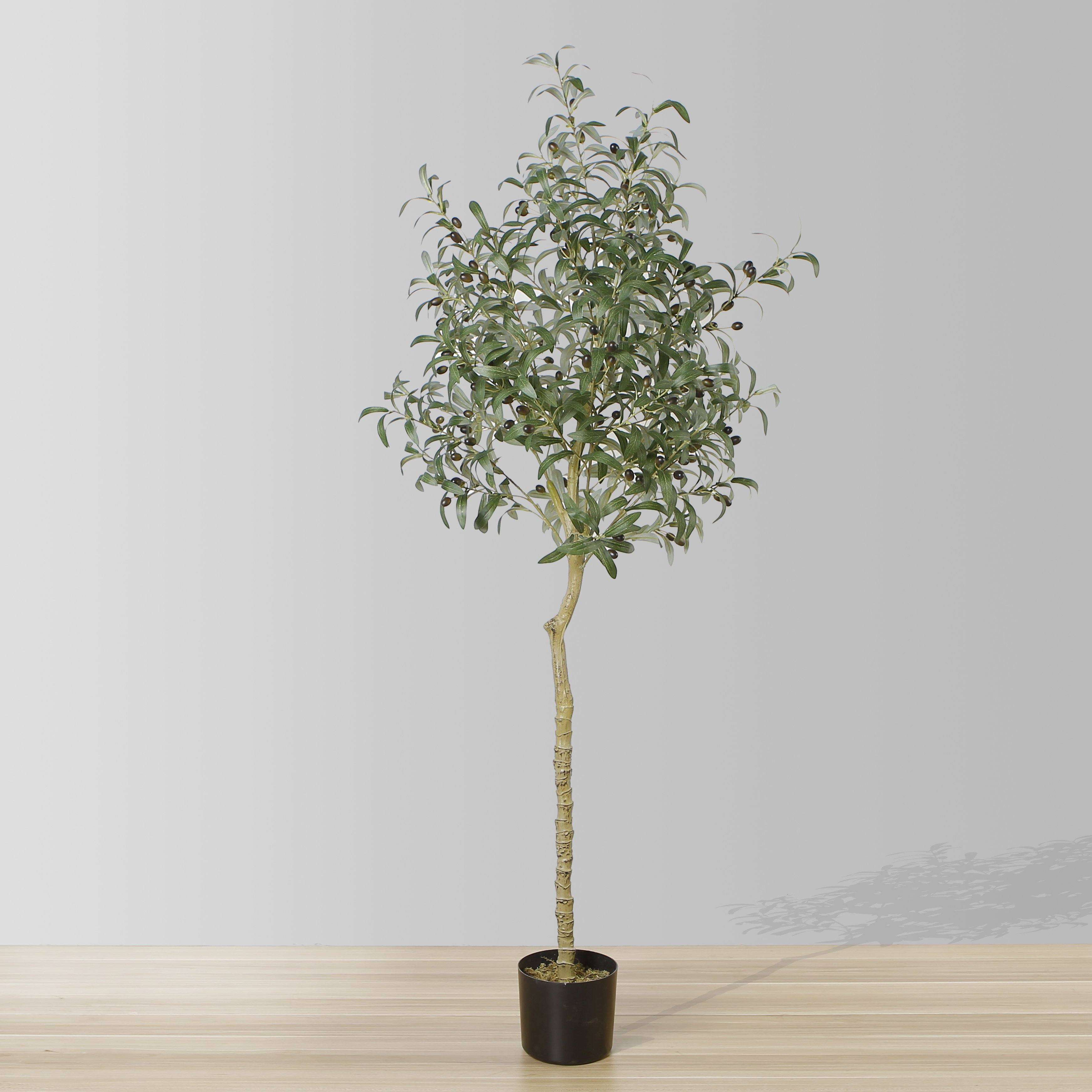 Artificial Olive Tree, 5Ft Faux Olive Tree, Tall Artificial Tree Indoor  Outdoor, Potted Silk Plants for Modern Home Office Living Room Porch Decor  