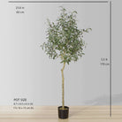 OLI ARTIFICIAL OLIVE TREE POTTED PLANT (Multiple Sizes) ArtiPlanto