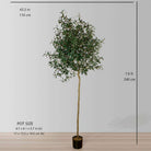 OLI ARTIFICIAL OLIVE TREE POTTED PLANT (Multiple Sizes) ArtiPlanto