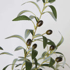 OLI ARTIFICIAL OLIVE TREE POTTED PLANT (Multiple Sizes) ArtiPlanto