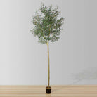 OLIDIA ARTIFICIAL OLIVE TREE 10' ArtiPlanto