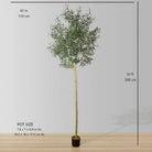 OLIDIA ARTIFICIAL OLIVE TREE 10' ArtiPlanto
