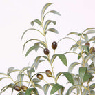 OLIDIA ARTIFICIAL OLIVE TREE 10' ArtiPlanto