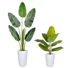 ORA - White Brass Planter ArtiPlanto