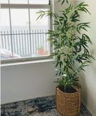 OSOS Artificial Korea Bamboo Potted Plant (Multiple Sizes) ArtiPlanto
