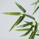 OSOS Artificial Korea Bamboo Potted Plant (Multiple Sizes) ArtiPlanto