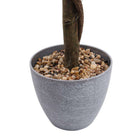 OXFORD Faux Potted Boxwood Topiary Plant 3' ArtiPlanto