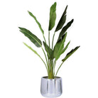 PAOLA - Brass Floor Planter (Multiple Sizes) ArtiPlanto