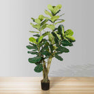 PICO Artificial Fiddle Leaf Potted Plant 5.5' ArtiPlanto