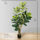 PICO Artificial Fiddle Leaf Potted Plant 5.5' ArtiPlanto
