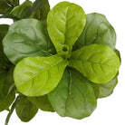 PIÑA Artificial Fiddle Leaf Potted Plant 5' ArtiPlanto
