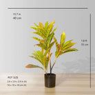 PINTO Artificial Crotons Potted Plant 22" ArtiPlanto