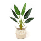 POKHA - Seagrass Basket With Tassel ArtiPlanto