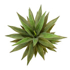 REMI Artificial Aloe Tree Potted Plant 3' ArtiPlanto