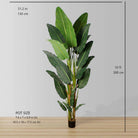REYNA ARTIFICIAL TRAVELLERS PALM TREE POTTED PLANT 10' ArtiPlanto