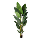 REYNA ARTIFICIAL TRAVELLERS PALM TREE POTTED PLANT 10' ArtiPlanto