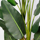 REYNA ARTIFICIAL TRAVELLERS PALM TREE POTTED PLANT 10' ArtiPlanto