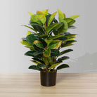 RUBI ARTIFICIAL RUBBER POTTED PLANT 2.5' ArtiPlanto