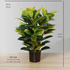 RUBI ARTIFICIAL RUBBER POTTED PLANT 2.5' ArtiPlanto