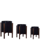 Rica - Mid-Century Modern Plant Stand With Black Planter (Multiple Sizes) ArtiPlanto