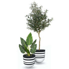 Rovos Cement Planter (Multiple Sizes) ArtiPlanto