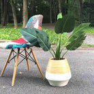 SAL M - Bamboo Floor Planter ArtiPlanto