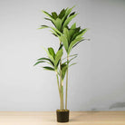 SAMY Artificial Dracaena Fragrans Potted Plant 51'' ArtiPlanto
