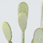 SOLO Artificial Cactus Potted Plant 41'' ArtiPlanto