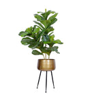 Sara - Brass Planter With Black Legs Brass Planter