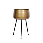 Sara - Brass Planter With Black Legs Brass Planter