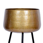 Sara - Brass Planter With Black Legs Brass Planter
