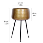 Sara - Brass Planter With Black Legs Brass Planter