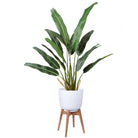 Sita - Mid-Century Turned Wood Leg Planter White (Multiple Sizes) ArtiPlanto