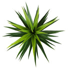 TILA Artificial Agave Tree Potted Plant 3' ArtiPlanto
