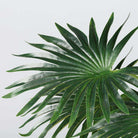 TITA Artificial Fan Palm Potted Plant 26'' ArtiPlanto