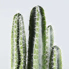 TITO Artificial Cactus Potted Plant 41'' ArtiPlanto