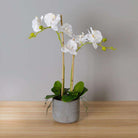 Tampico Faux Potted Orchid Floral Arrangement 24 Inches ArtiPlanto