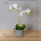 Tampico Faux Potted Orchid Floral Arrangement 24 Inches ArtiPlanto