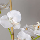 Tampico Faux Potted Orchid Floral Arrangement 24 Inches ArtiPlanto