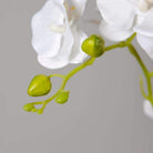 Tampico Faux Potted Orchid Floral Arrangement 24 Inches ArtiPlanto