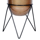 Teresa - Brass Mid-Century Planter With Black Metal Stand ArtiPlanto