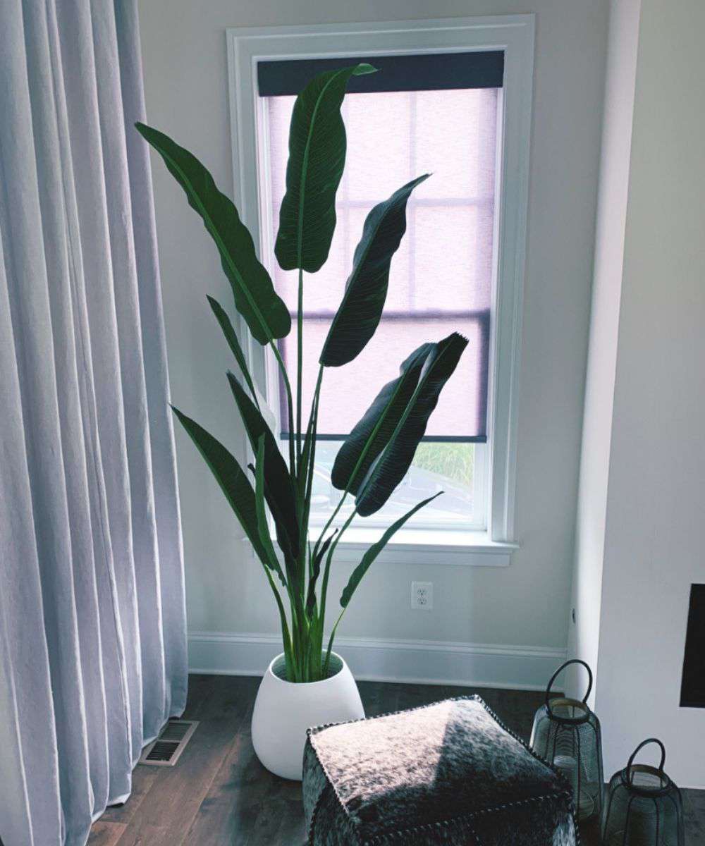 MARGO - White Bamboo Floor Planter Natural Planter ArtiPlanto 