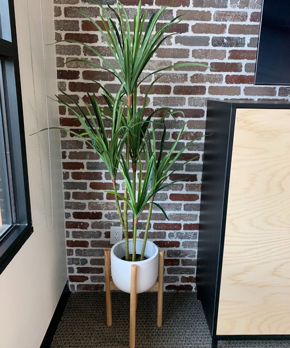Yulu Artificial Century Potted Plant