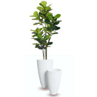 Lazio White Cement Planter (Multiple Sizes) Cement Planter ArtiPlanto 
