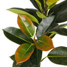 VERO Artificial Rubber Potted Plant 39'' ArtiPlanto