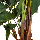 XAVI ARTIFICIAL FISHTAIL PALM TREE POTTED PLANT (MULTIPLE SIZES) ArtiPlanto